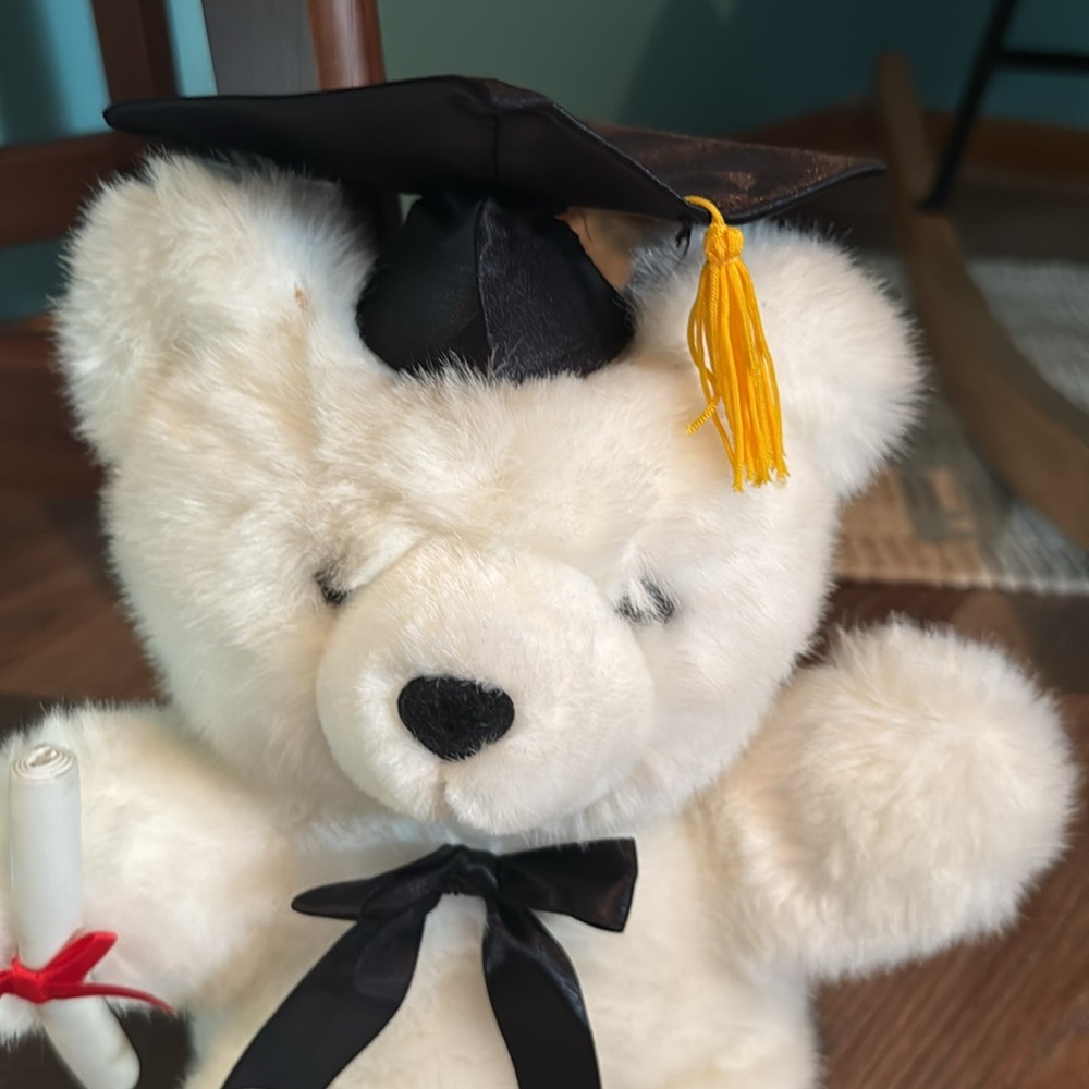 Graduate bear - Picture 2 of 4
